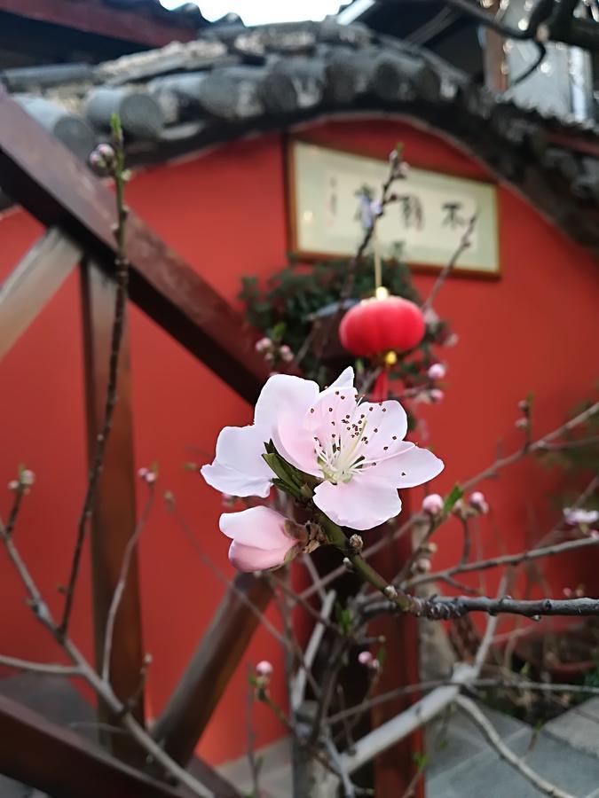 Lijiang Buwuzhai Inn 外观 照片